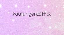 kaufungen是什么意思 kaufungen的中文翻译、读音、例句