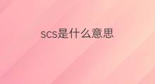 scs是什么意思 scs的中文翻译、读音、例句
