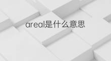 areal是什么意思 areal的中文翻译、读音、例句