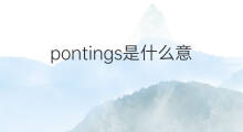 pontings是什么意思 pontings的中文翻译、读音、例句