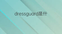 dressguard是什么意思 dressguard的中文翻译、读音、例句