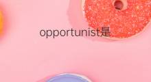opportunist是什么意思 opportunist的中文翻译、读音、例句