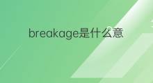 breakage是什么意思 breakage的翻译、读音、例句、中文解释