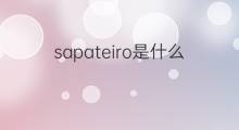 sapateiro是什么意思 sapateiro的中文翻译、读音、例句
