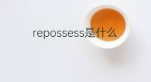 repossess是什么意思 repossess的中文翻译、读音、例句