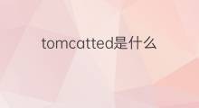 tomcatted是什么意思 tomcatted的中文翻译、读音、例句