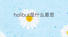 halibut是什么意思 halibut的中文翻译、读音、例句