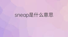sneap是什么意思 sneap的中文翻译、读音、例句
