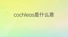 cochleas是什么意思 cochleas的中文翻译、读音、例句