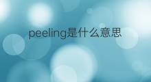 peeling是什么意思 peeling的中文翻译、读音、例句
