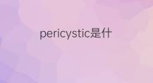 pericystic是什么意思 pericystic的中文翻译、读音、例句