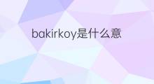 bakirkoy是什么意思 bakirkoy的中文翻译、读音、例句