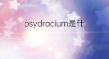 psydracium是什么意思 psydracium的中文翻译、读音、例句