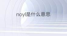 noyl是什么意思 noyl的中文翻译、读音、例句