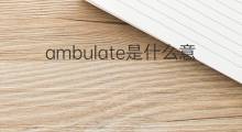 ambulate是什么意思 ambulate的中文翻译、读音、例句