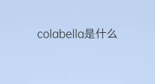 colabella是什么意思 colabella的中文翻译、读音、例句