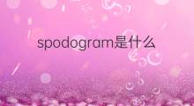 spodogram是什么意思 spodogram的中文翻译、读音、例句