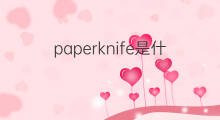 paperknife是什么意思 paperknife的中文翻译、读音、例句