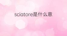sciatore是什么意思 sciatore的中文翻译、读音、例句