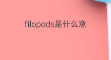 filopods是什么意思 filopods的中文翻译、读音、例句