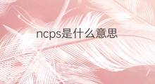 ncps是什么意思 ncps的中文翻译、读音、例句