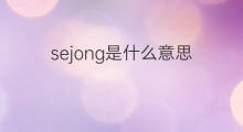 sejong是什么意思 sejong的中文翻译、读音、例句
