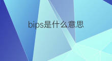 bips是什么意思 bips的中文翻译、读音、例句