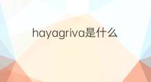 hayagriva是什么意思 hayagriva的中文翻译、读音、例句
