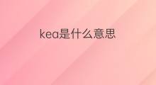 kea是什么意思 kea的中文翻译、读音、例句