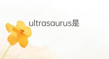 ultrasaurus是什么意思 ultrasaurus的中文翻译、读音、例句