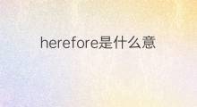 herefore是什么意思 herefore的中文翻译、读音、例句