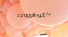 scraggling是什么意思 scraggling的中文翻译、读音、例句