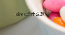 sires是什么意思 sires的中文翻译、读音、例句