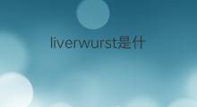 liverwurst是什么意思 liverwurst的翻译、读音、例句、中文解释