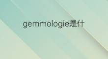 gemmologie是什么意思 gemmologie的中文翻译、读音、例句
