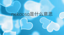 nekoosa是什么意思 nekoosa的中文翻译、读音、例句