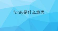 foaly是什么意思 foaly的翻译、读音、例句、中文解释