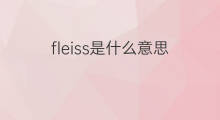 fleiss是什么意思 fleiss的中文翻译、读音、例句