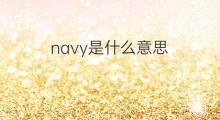navy是什么意思 navy的中文翻译、读音、例句
