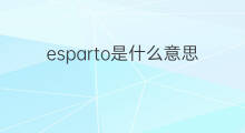 esparto是什么意思 esparto的翻译、读音、例句、中文解释