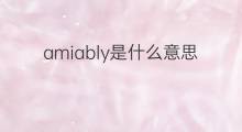 amiably是什么意思 amiably的中文翻译、读音、例句