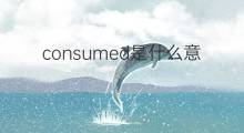 consumed是什么意思 consumed的中文翻译、读音、例句