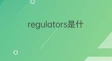 regulators是什么意思 regulators的翻译、读音、例句、中文解释