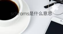 schrams是什么意思 schrams的中文翻译、读音、例句