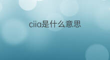 ciia是什么意思 ciia的中文翻译、读音、例句
