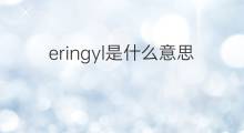 eringyl是什么意思 eringyl的中文翻译、读音、例句