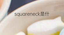 squareneck是什么意思 squareneck的翻译、读音、例句、中文解释