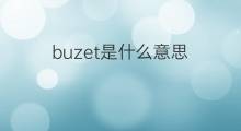 buzet是什么意思 buzet的翻译、读音、例句、中文解释