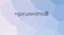 ngaruawahia是什么意思 ngaruawahia的中文翻译、读音、例句