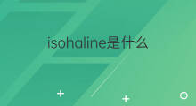 isohaline是什么意思 isohaline的中文翻译、读音、例句